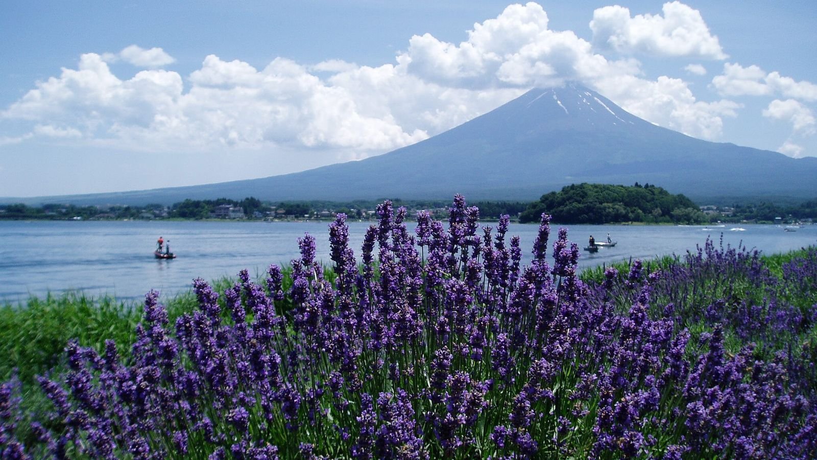 Mount Fuji peak standing at 3,776 meters