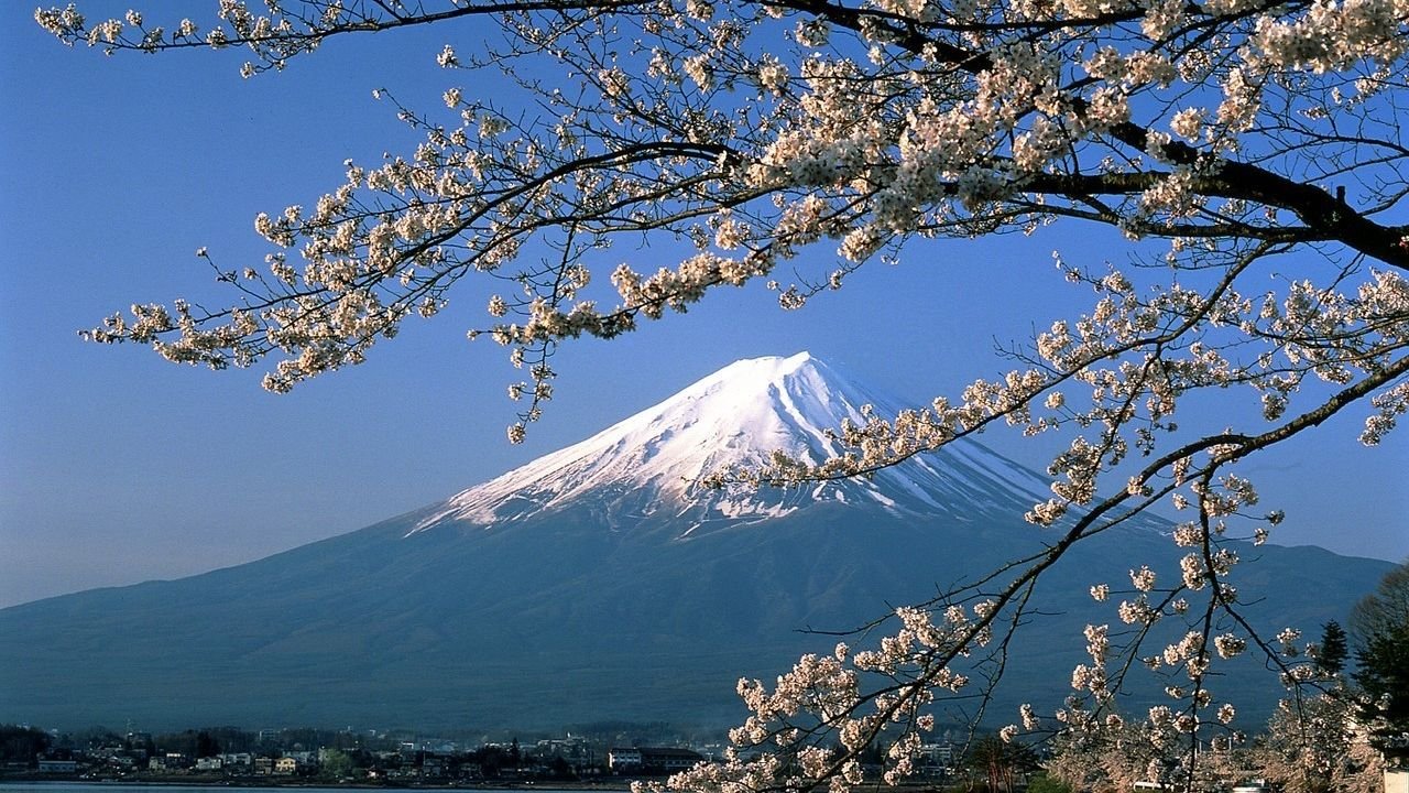 Scenic walking paths and mountain viewpoints at Arakurayama Sengen Park