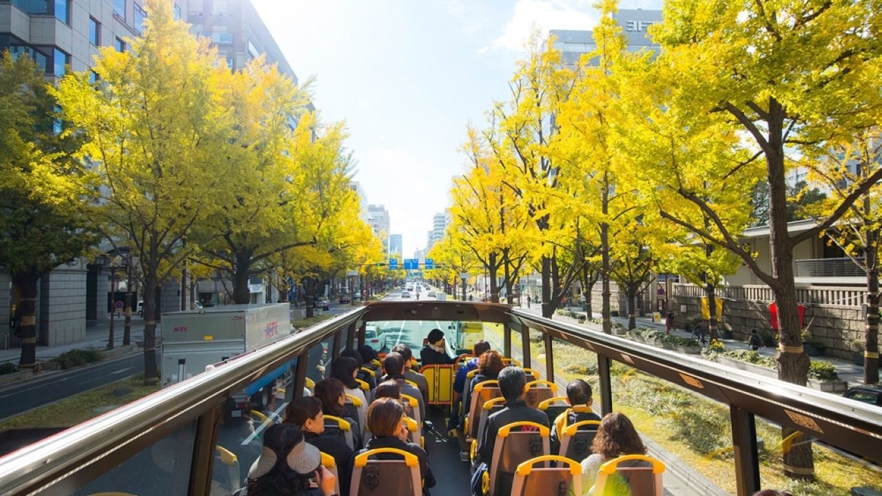 Street view of Dotonbori district from the open-top bus