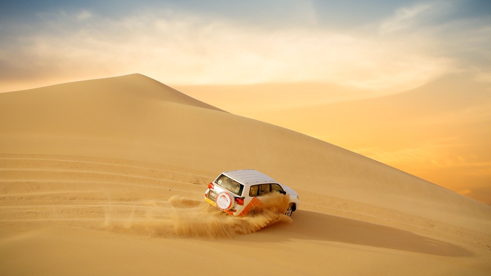 Camel farm visit during Abu Dhabi desert safari