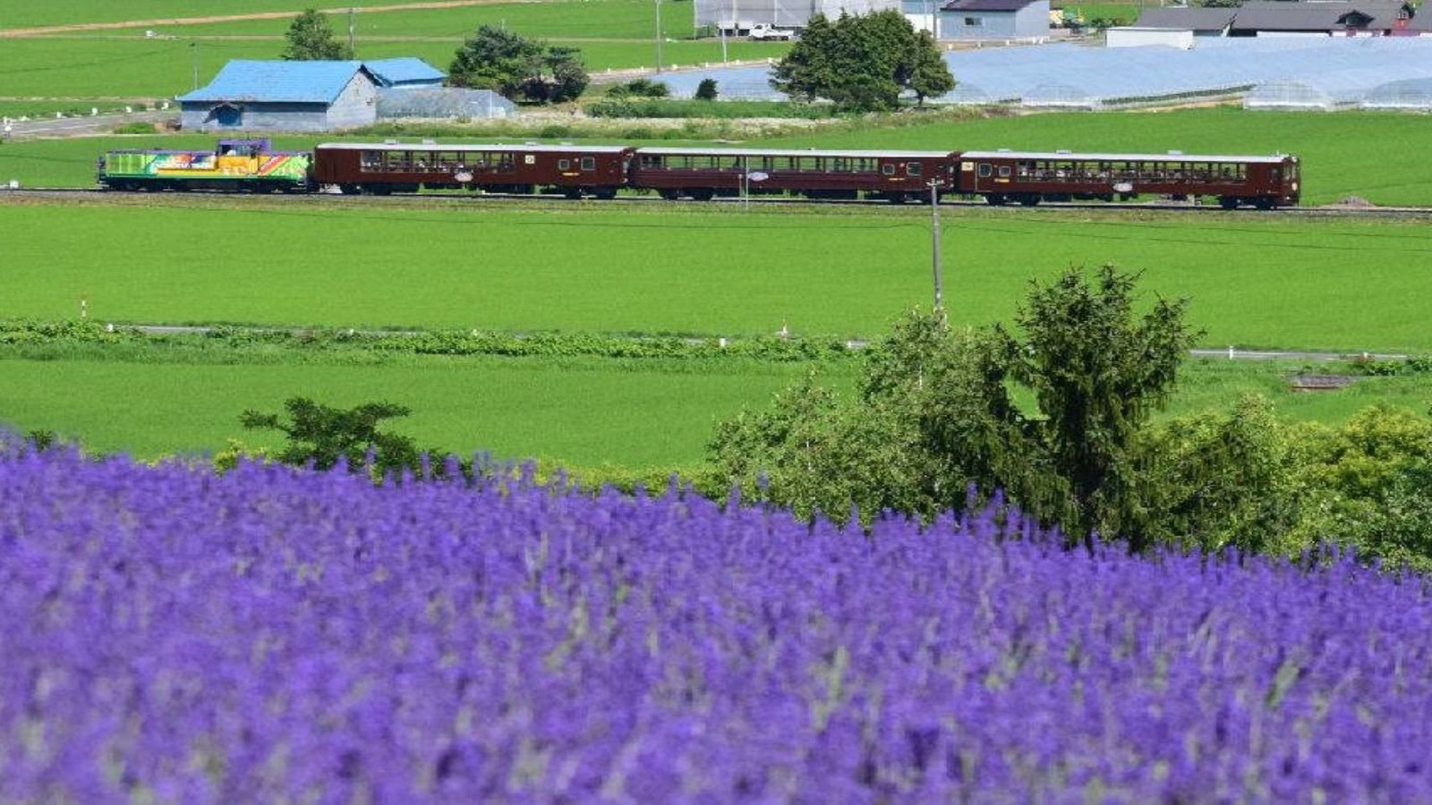 Interior reserved seating in ordinary car of JR Hokkaido limited express train