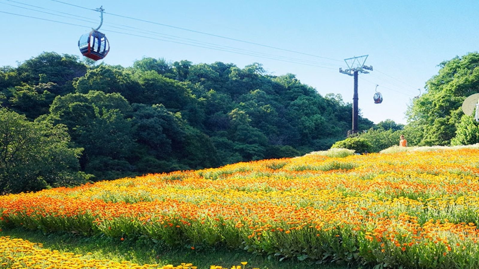 Kobe Nunobiki Herb Gardens and Ropeway Cable Car attraction