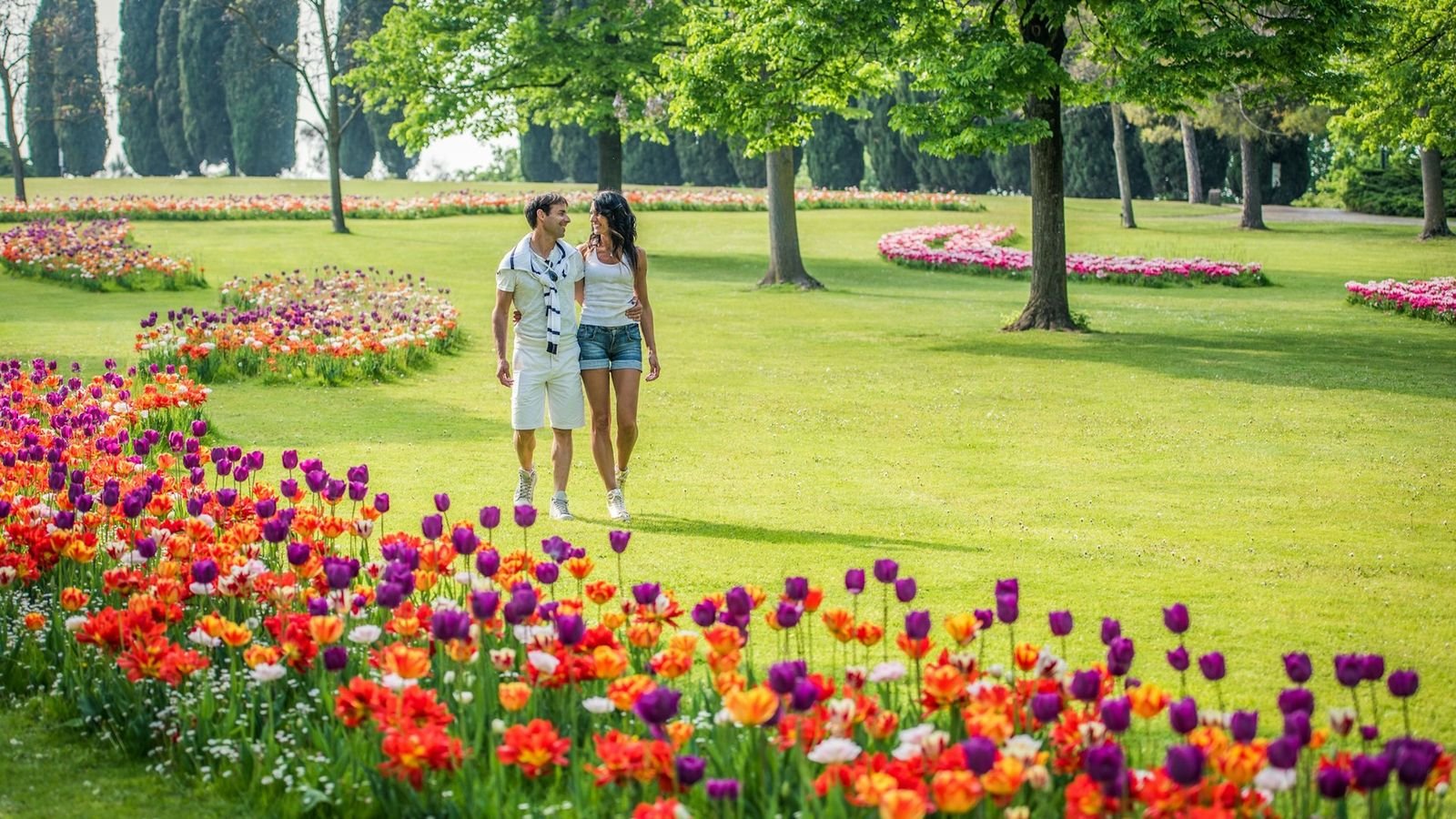Avenue lined with thousands of roses at Parco Giardino Sigurtà