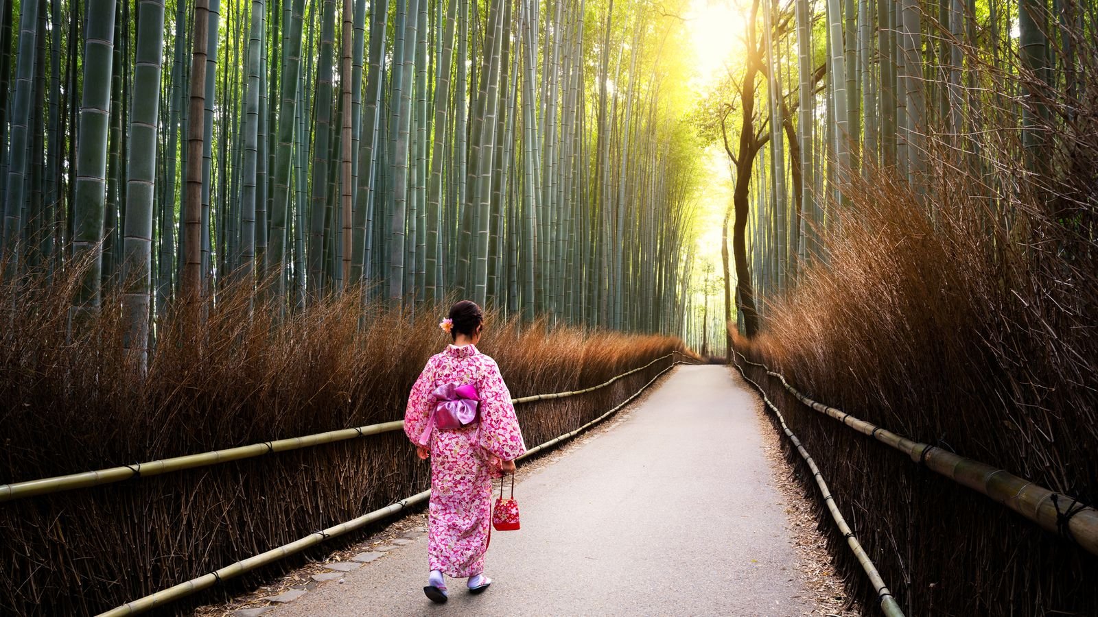 Professional photographer taking portraits in Kyoto
