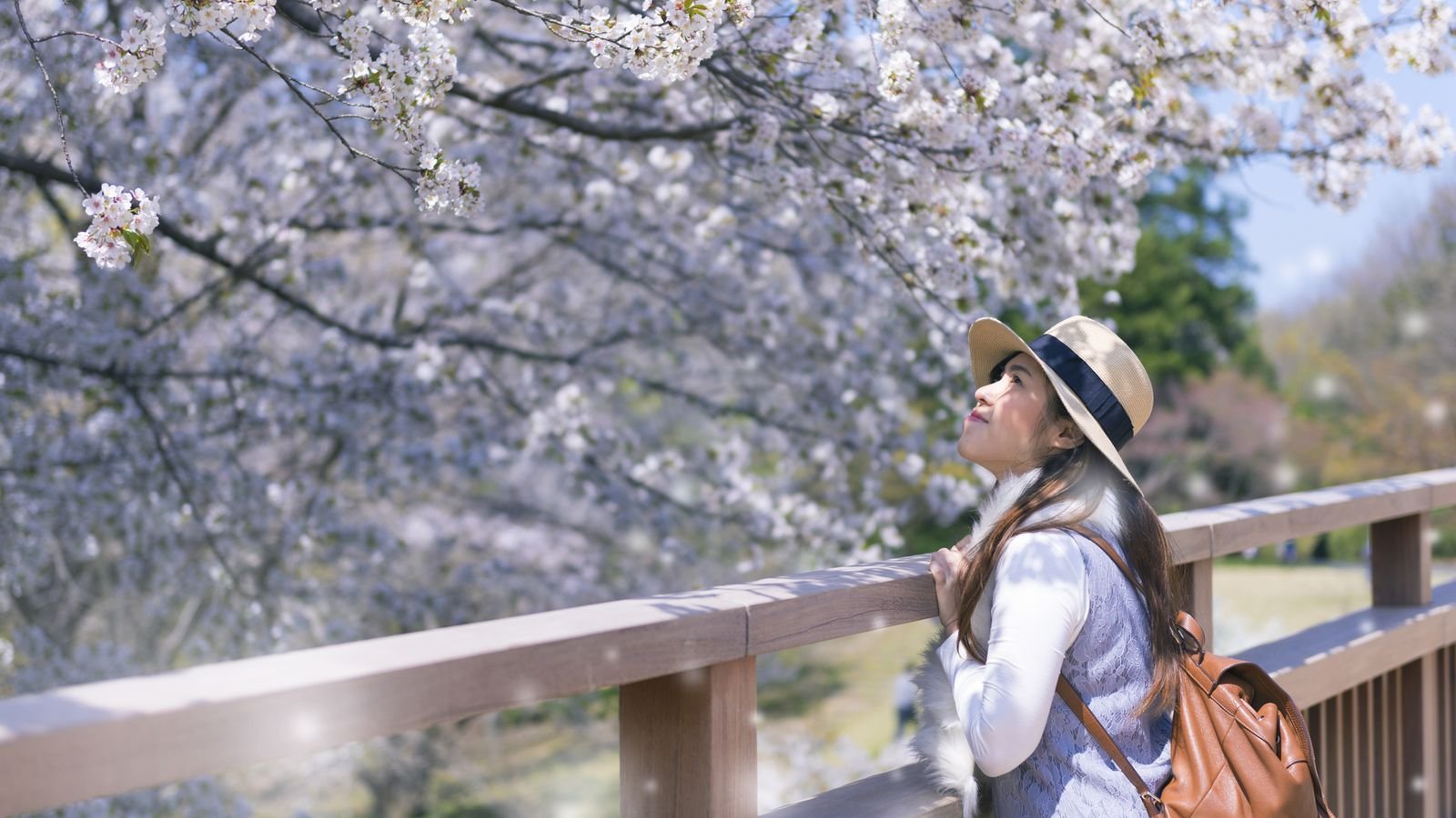 Posing against cultural icons in Kyoto during a photo shoot