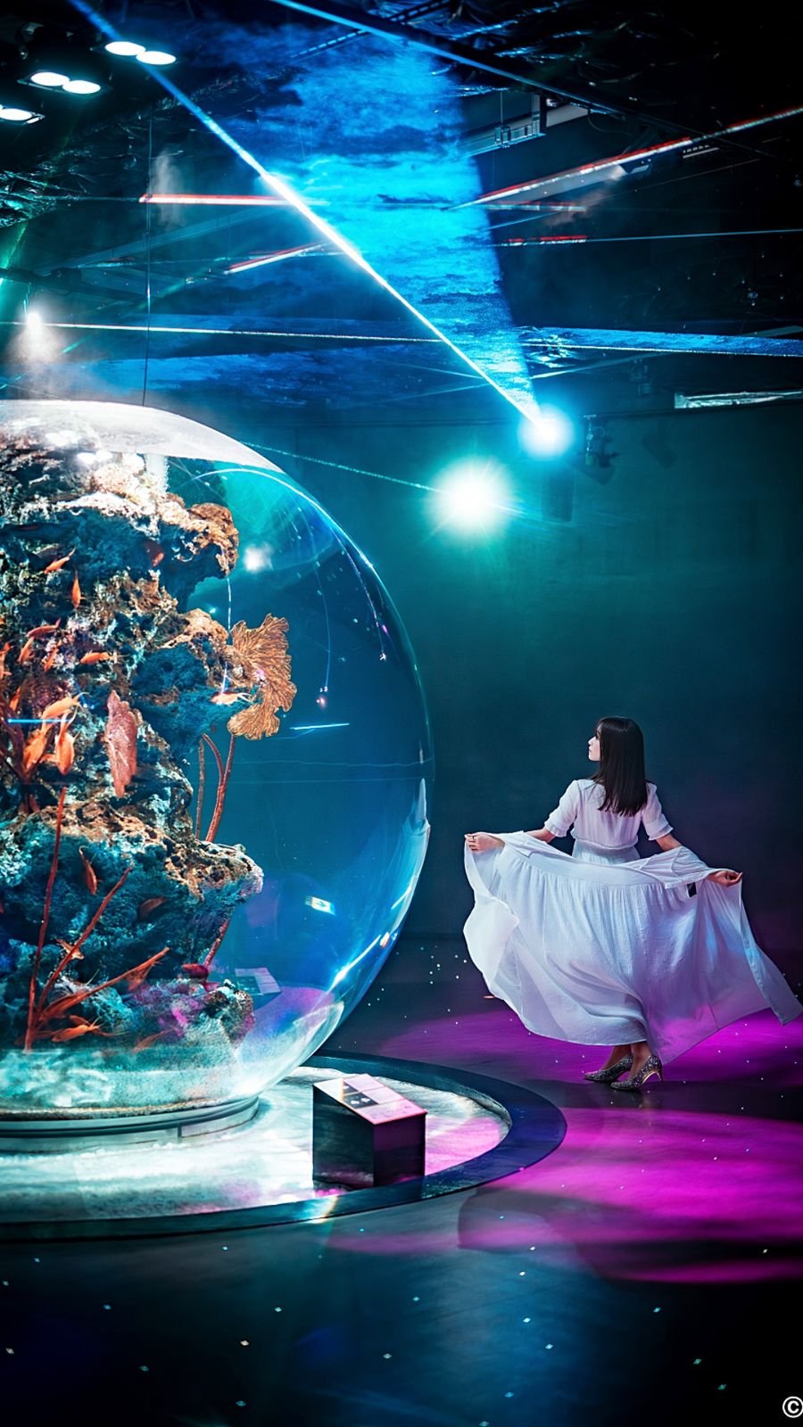 Exhibition zone at Kobe Urban AQUARIUM×ART atoa with marine creatures and digital art