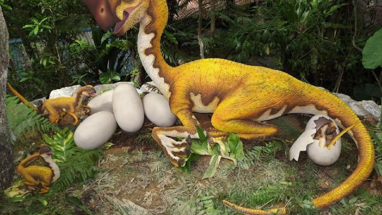 Dilophosaurus model among subtropical trees