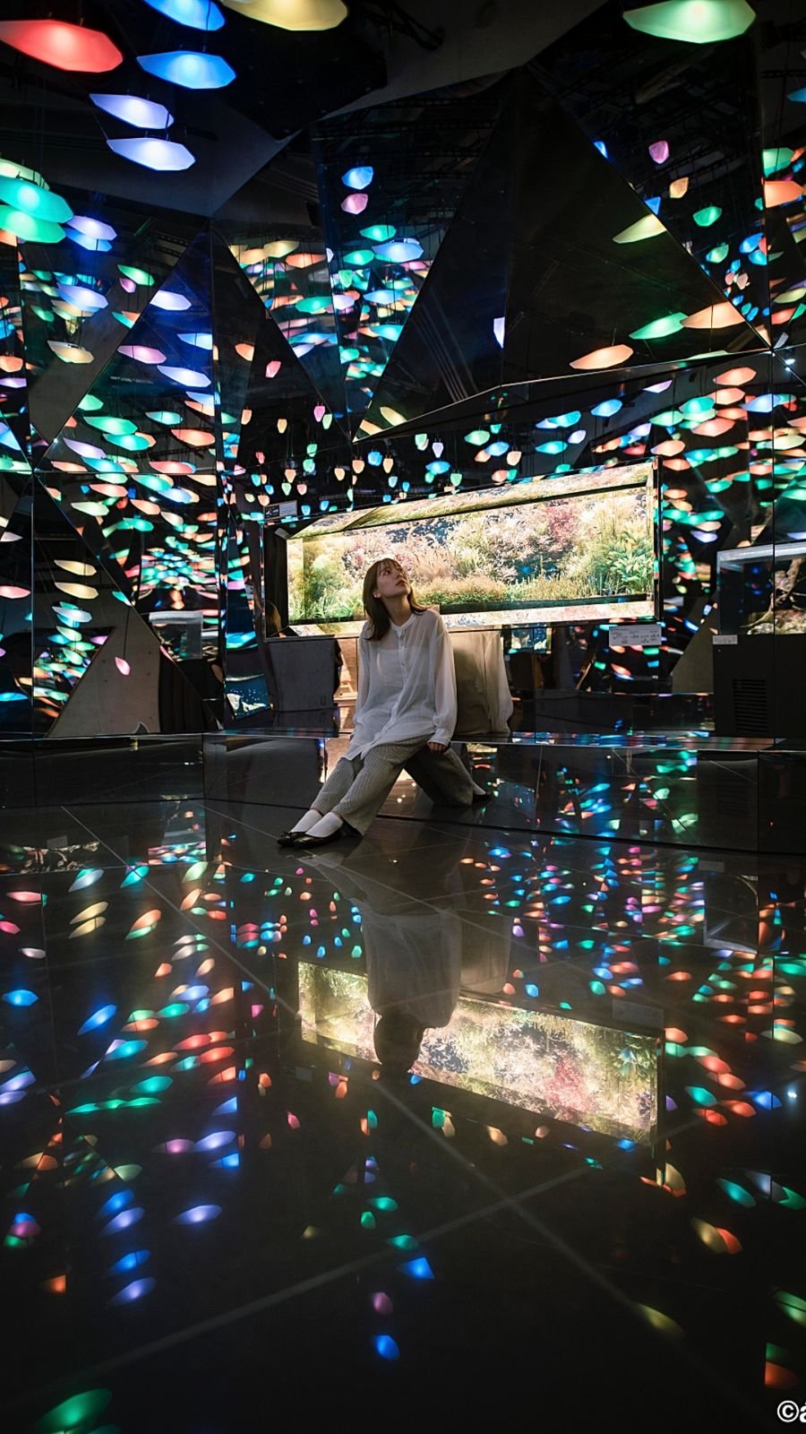 Live aquarium tank display inside Kobe Port Museum atoa
