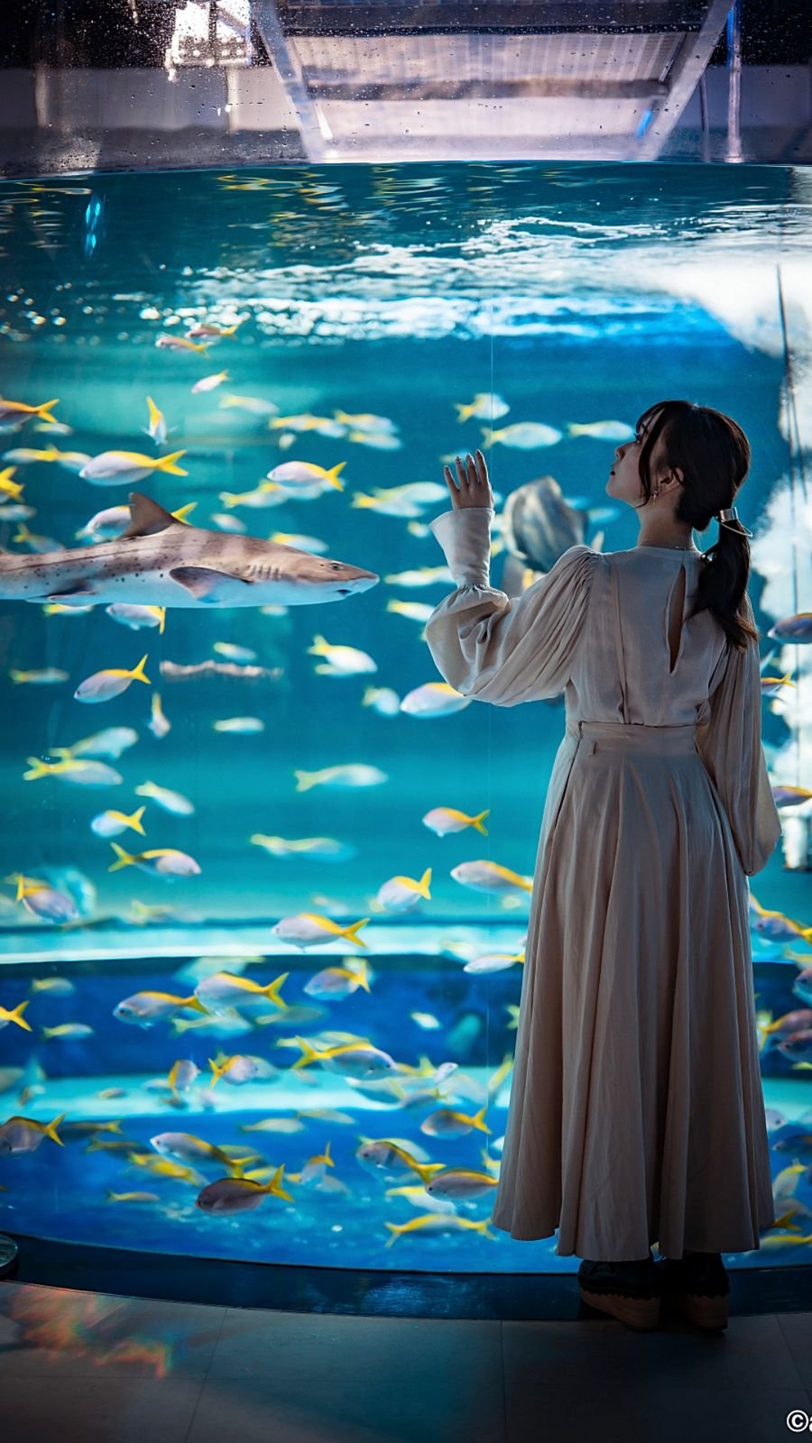 Digital art installation combined with aquatic habitats at atoa Kobe