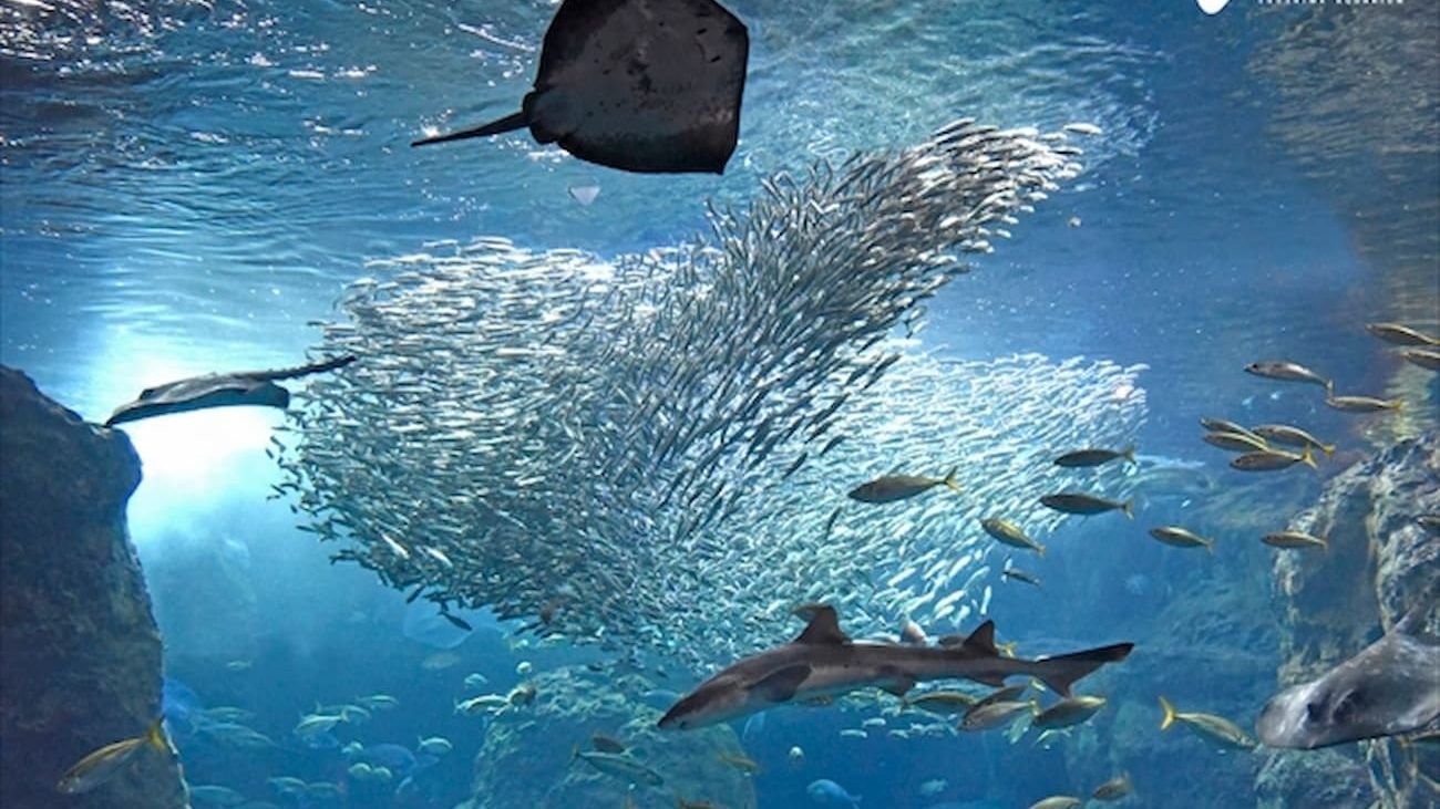 Exterior view of Enoshima Aquarium
