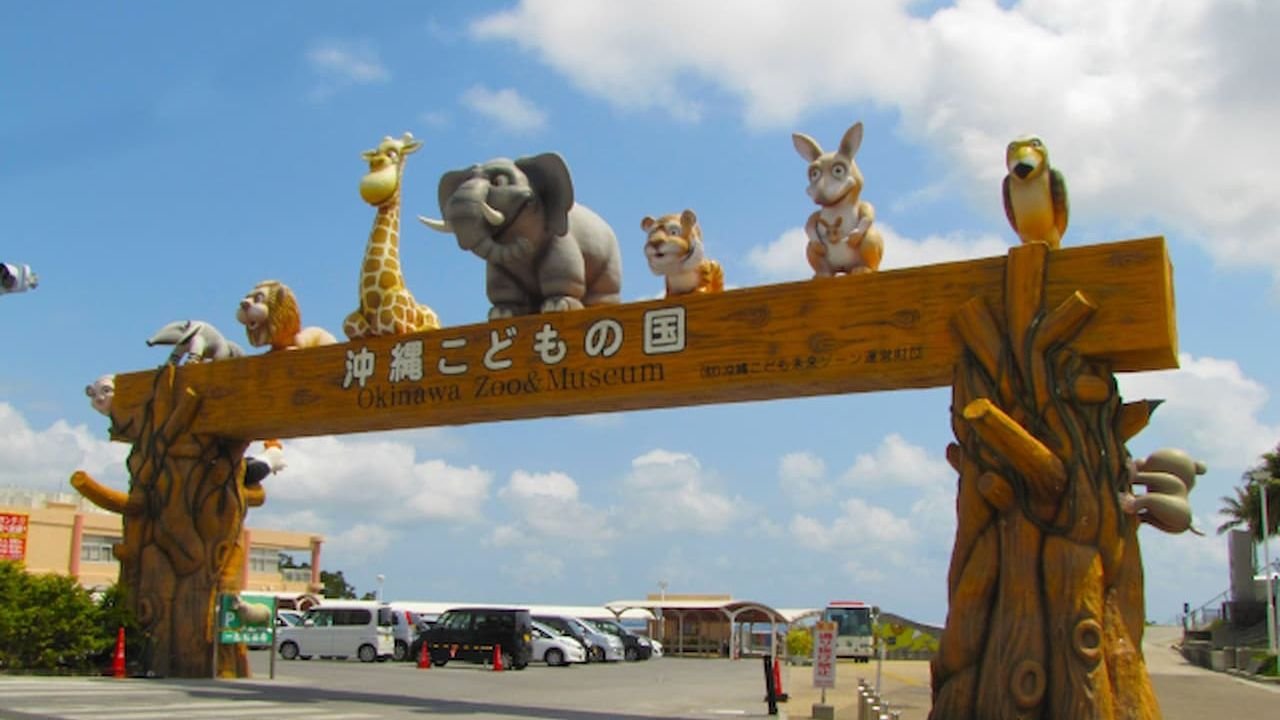 Indian elephants in the herbivore area at Okinawa Zoo &amp; Museum