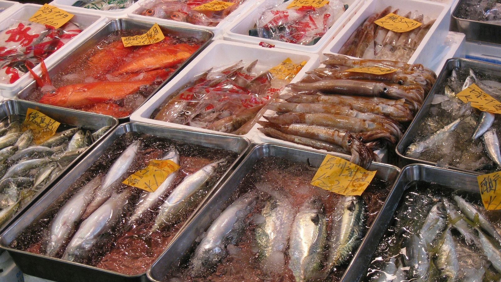 Fresh sashimi tasting at Tsukiji Outer Market