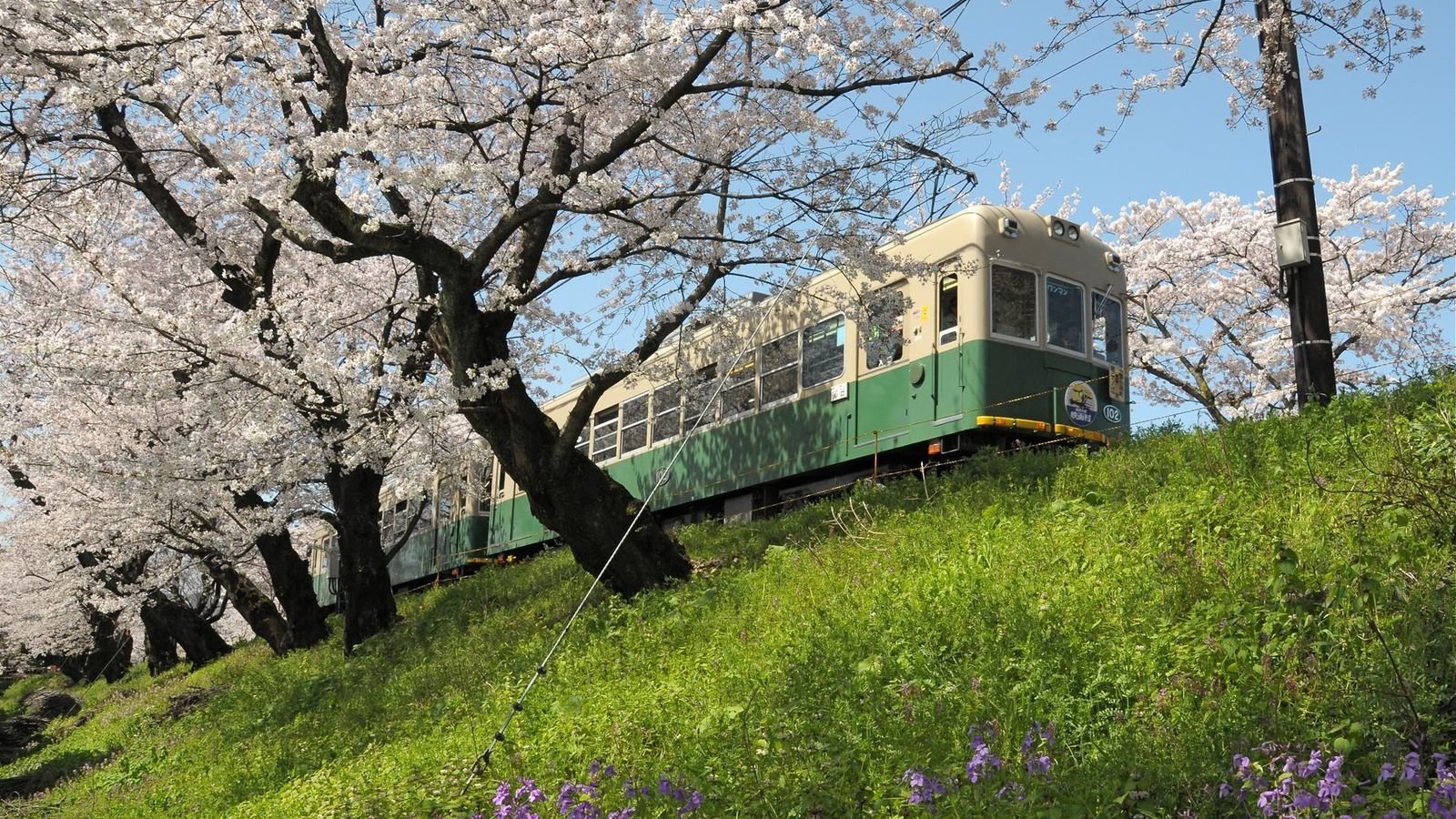 Passenger riding the local Randen tram through Kyoto