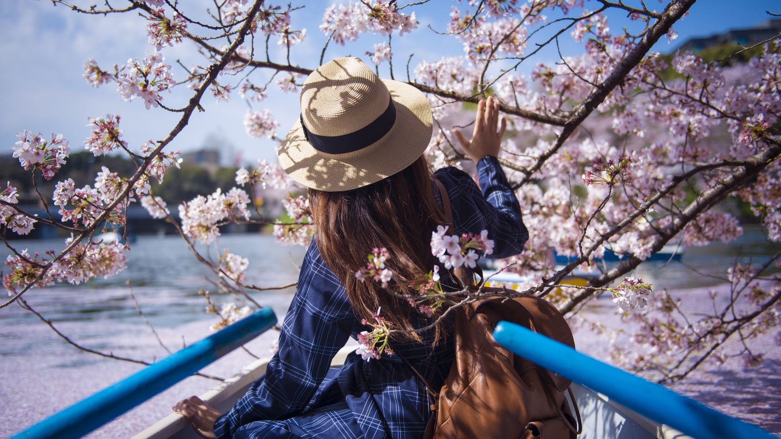 Professional Photo Shoot in Tokyo attraction