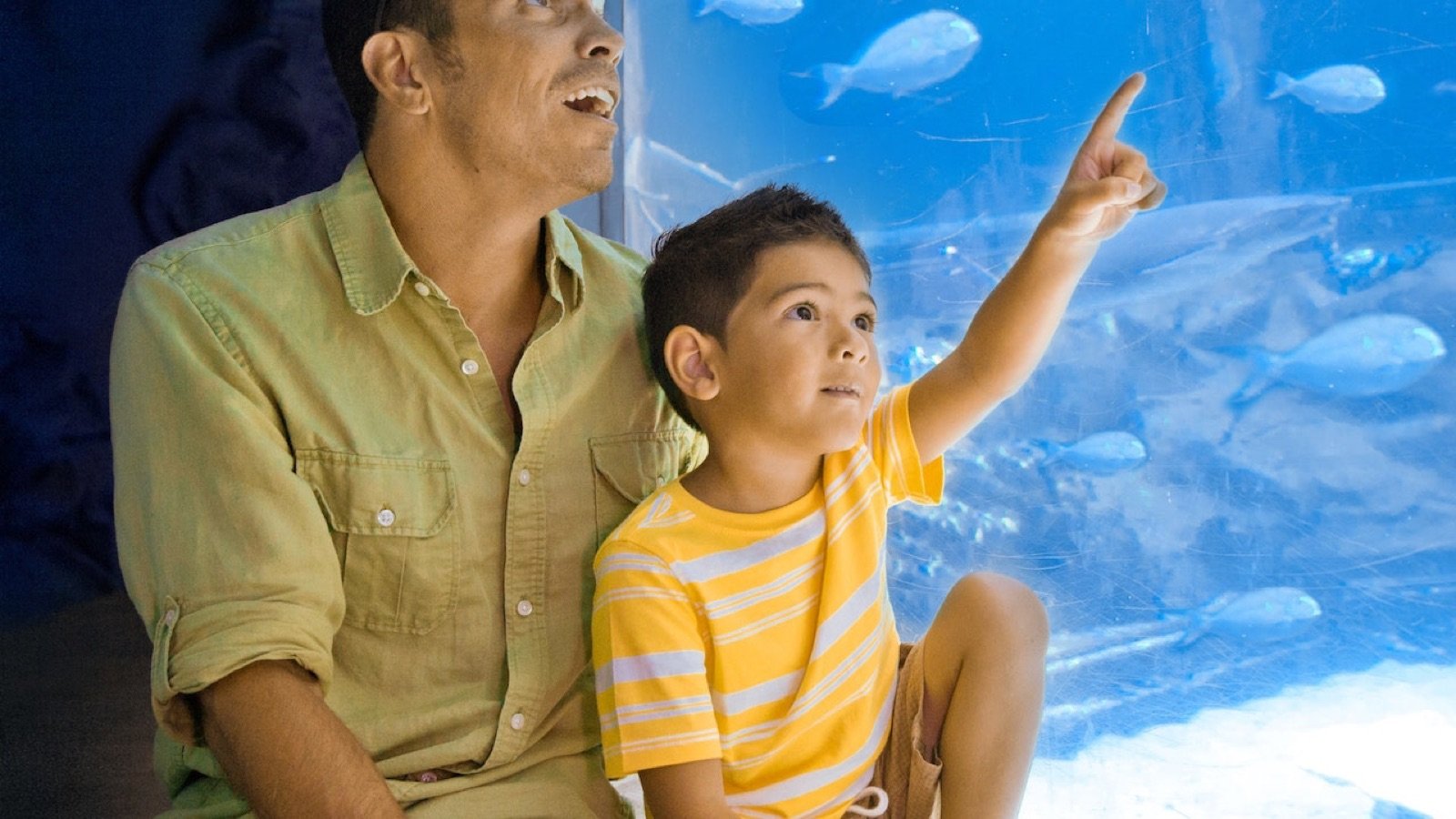Educational trainer talk about marine biology and conservation