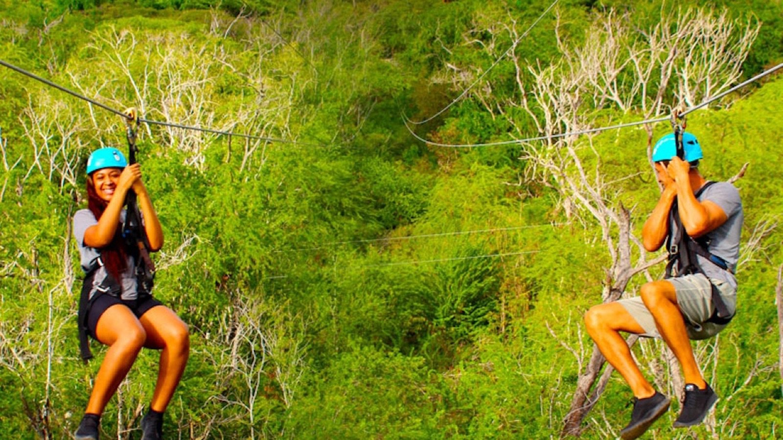 Aerial obstacle course challenges in the Oahu jungle