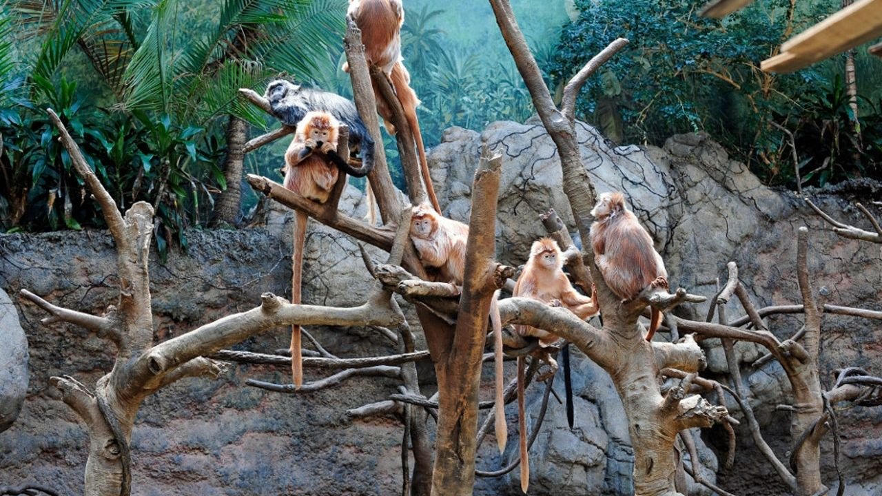 Bronx Zoo entrance in New York