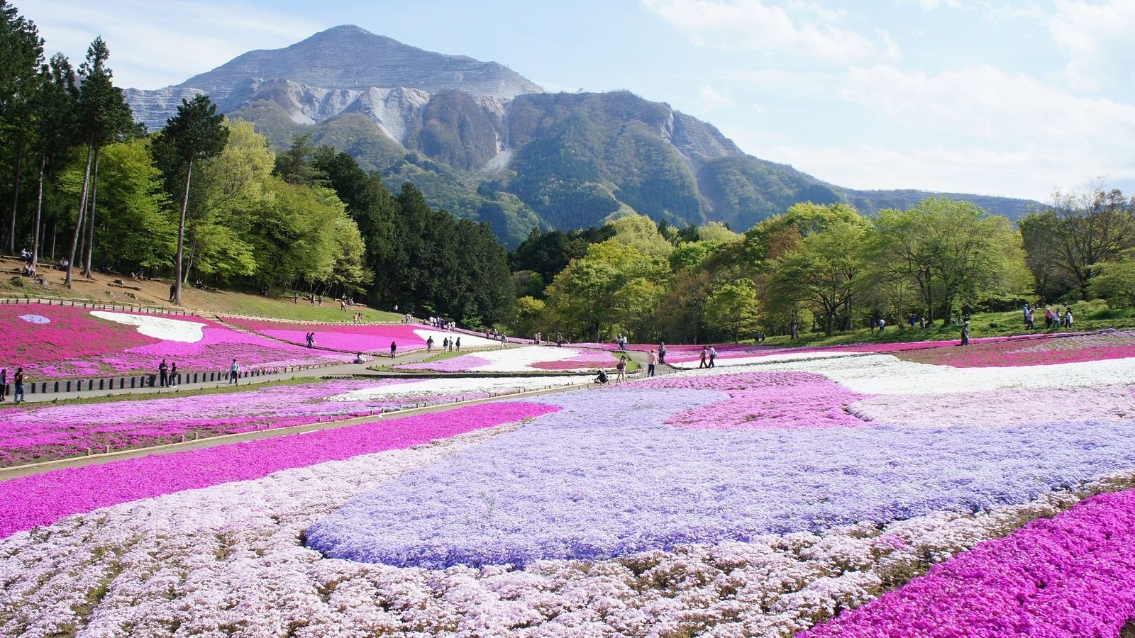 Scenic countryside in Chichibu