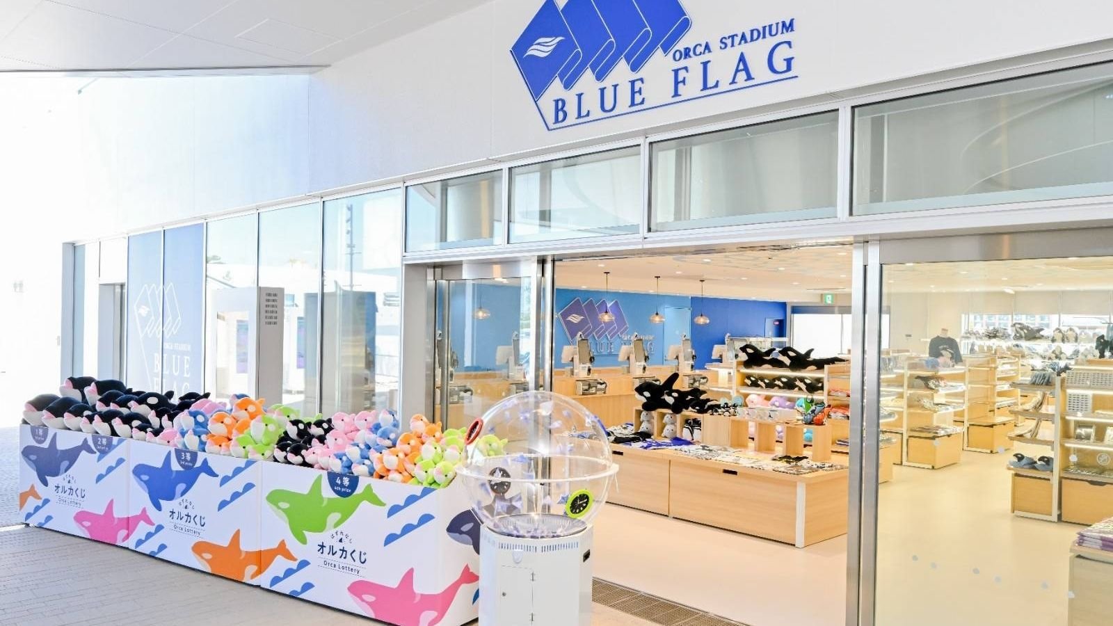 Seto Inland Sea marine life display inside Aqualive