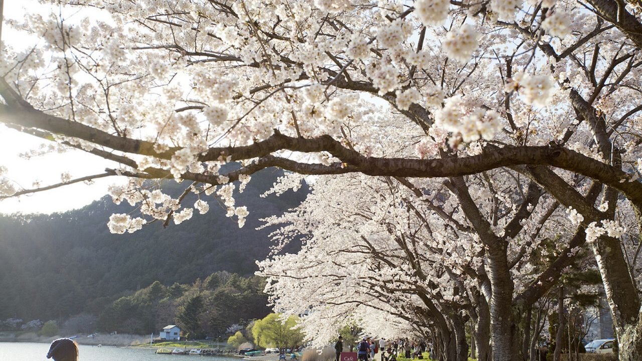 Tour coach traveling toward Mount Fuji from Tokyo