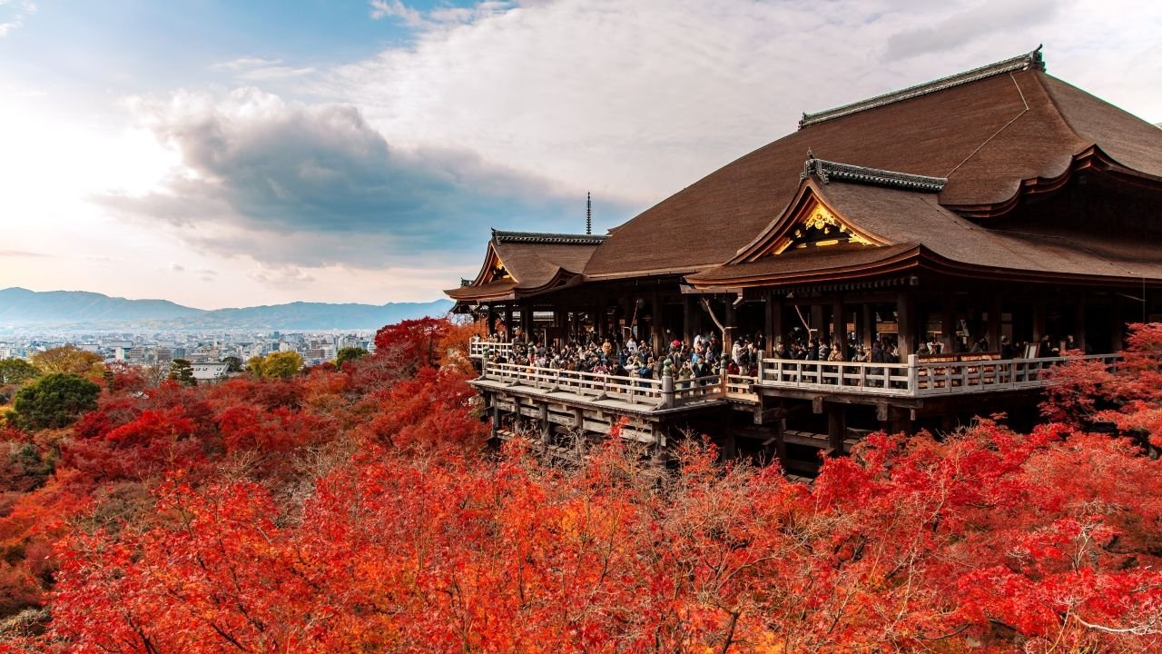 Sightseeing tour bus for Kyoto and Nara day tour