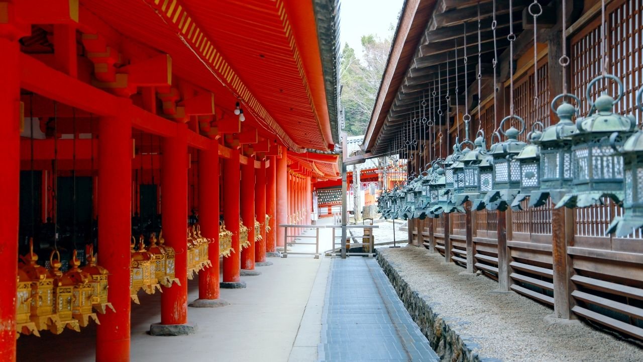 Free-roaming deer at Nara Park