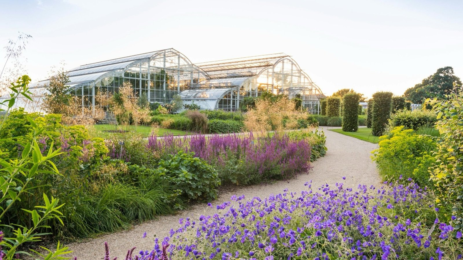 Glasshouse building and botanical plant collection at Wisley