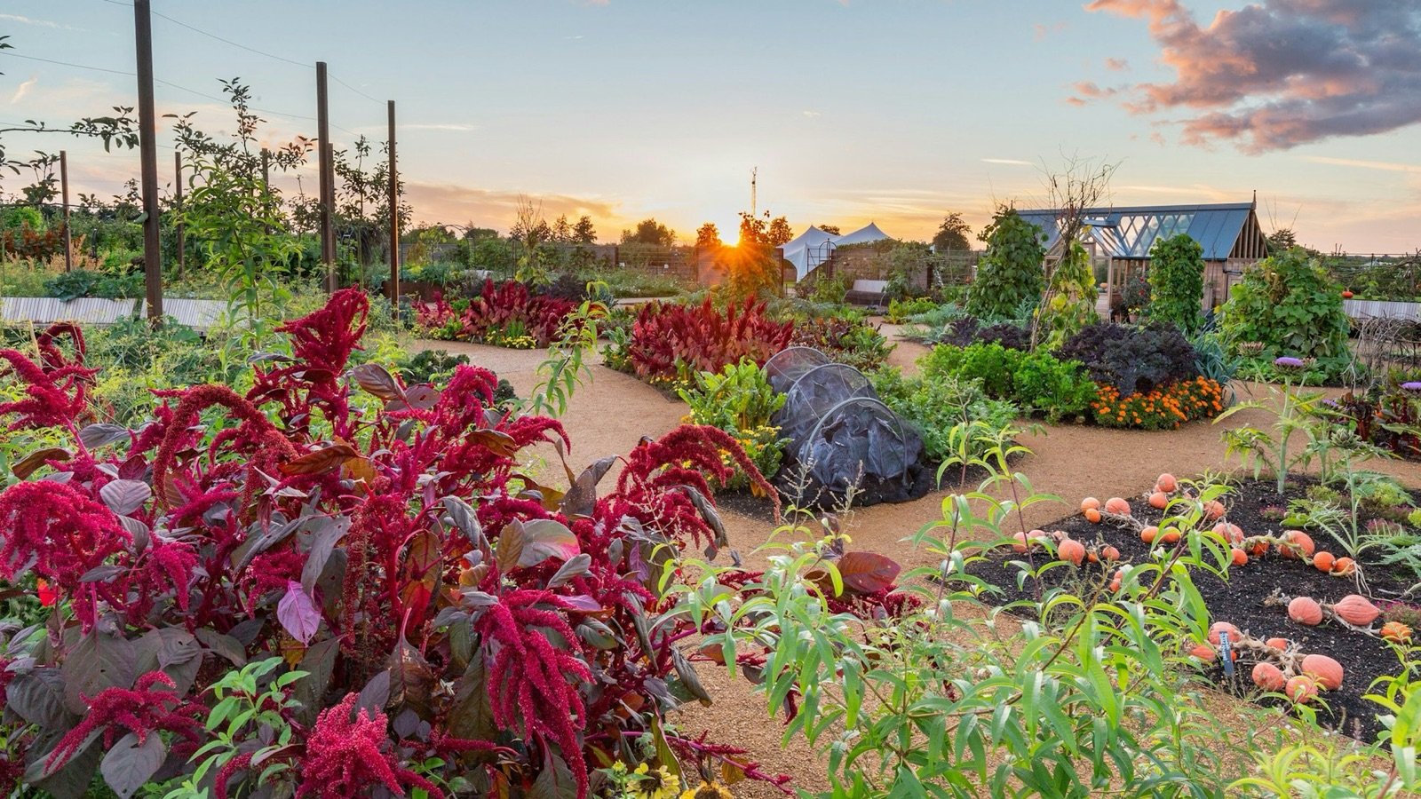 Themed botanical garden area with trees and outdoor plants