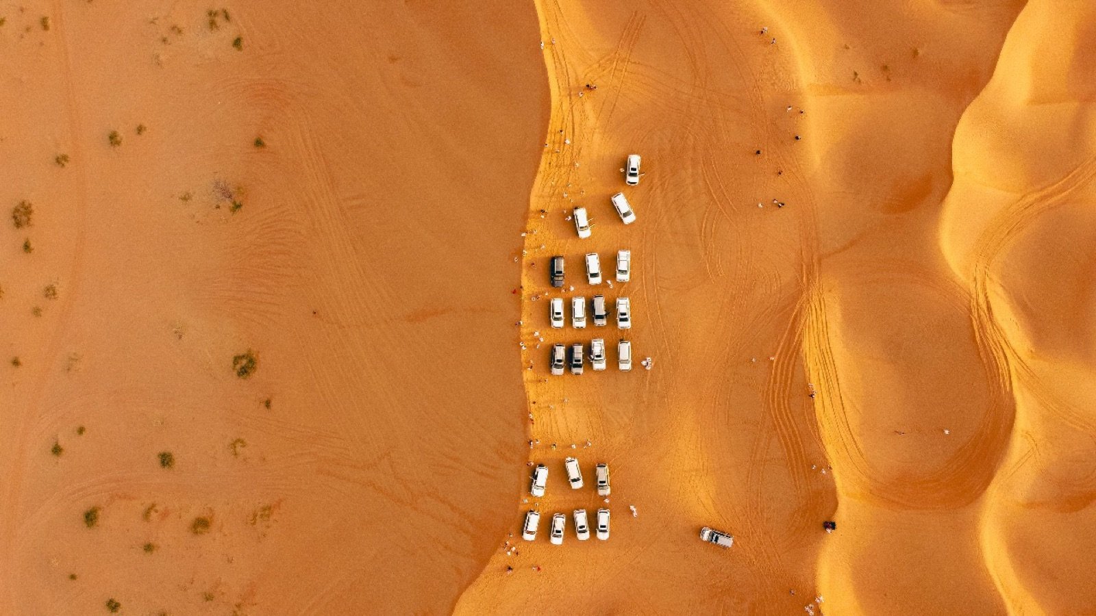 Desert Safari in Ras Al-Khaimah &amp; Fujeirah attraction