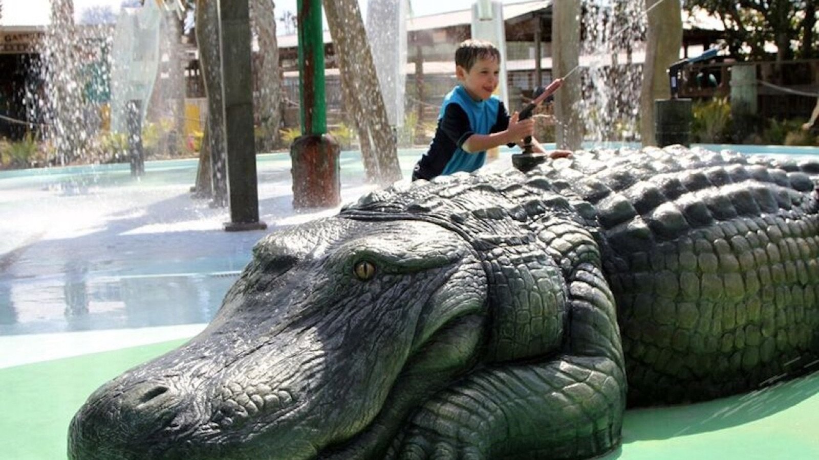 Rare giant white alligator at the White Gator Swamp in Gatorland