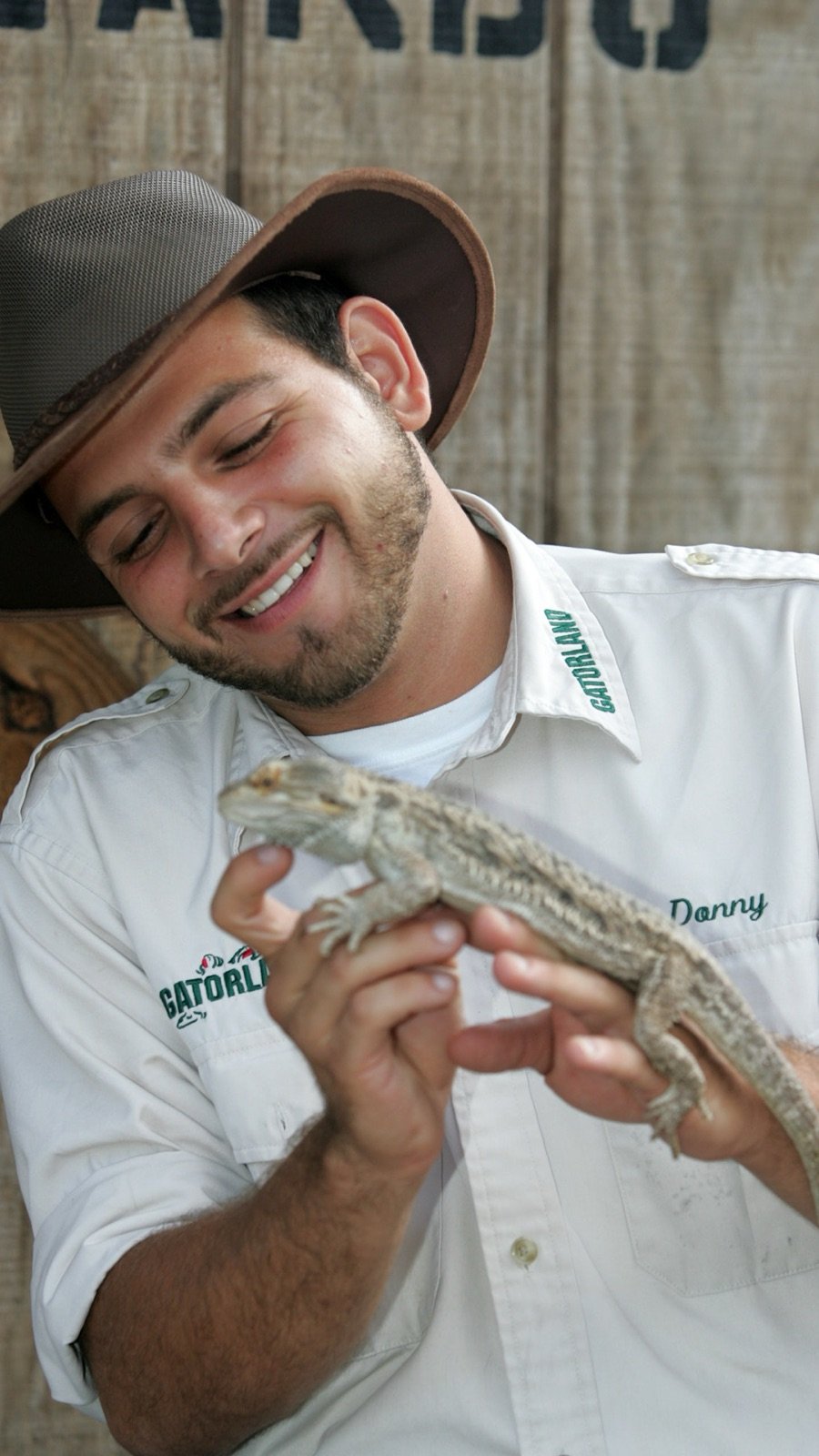 Nile crocodile resting along the water inside Gatorland Orlando