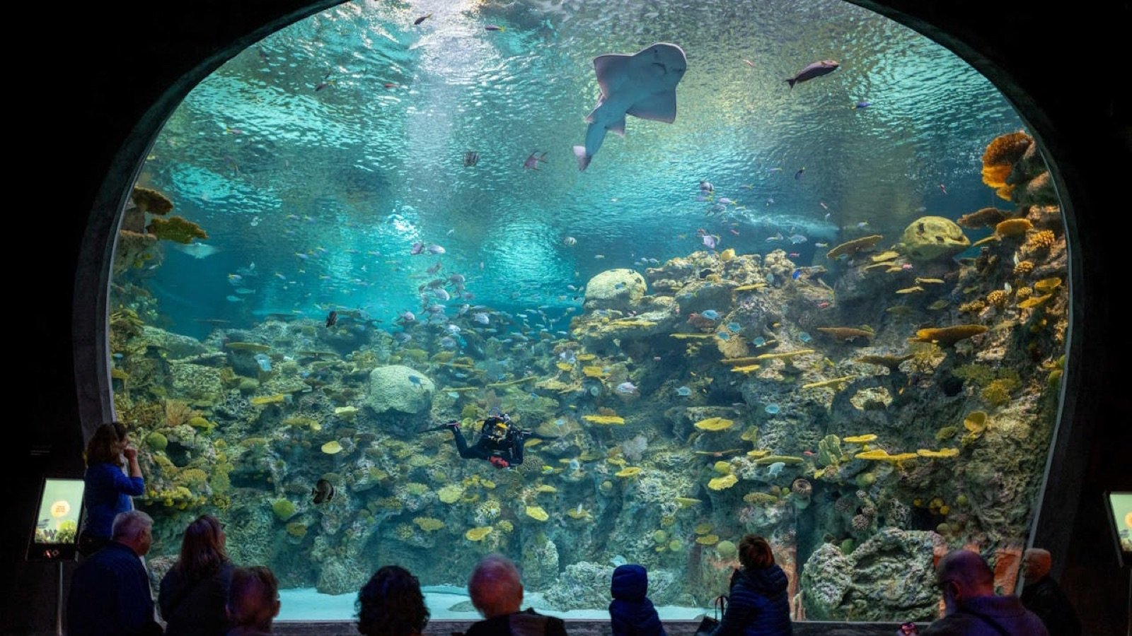 Seattle Aquarium exterior entrance in Seattle