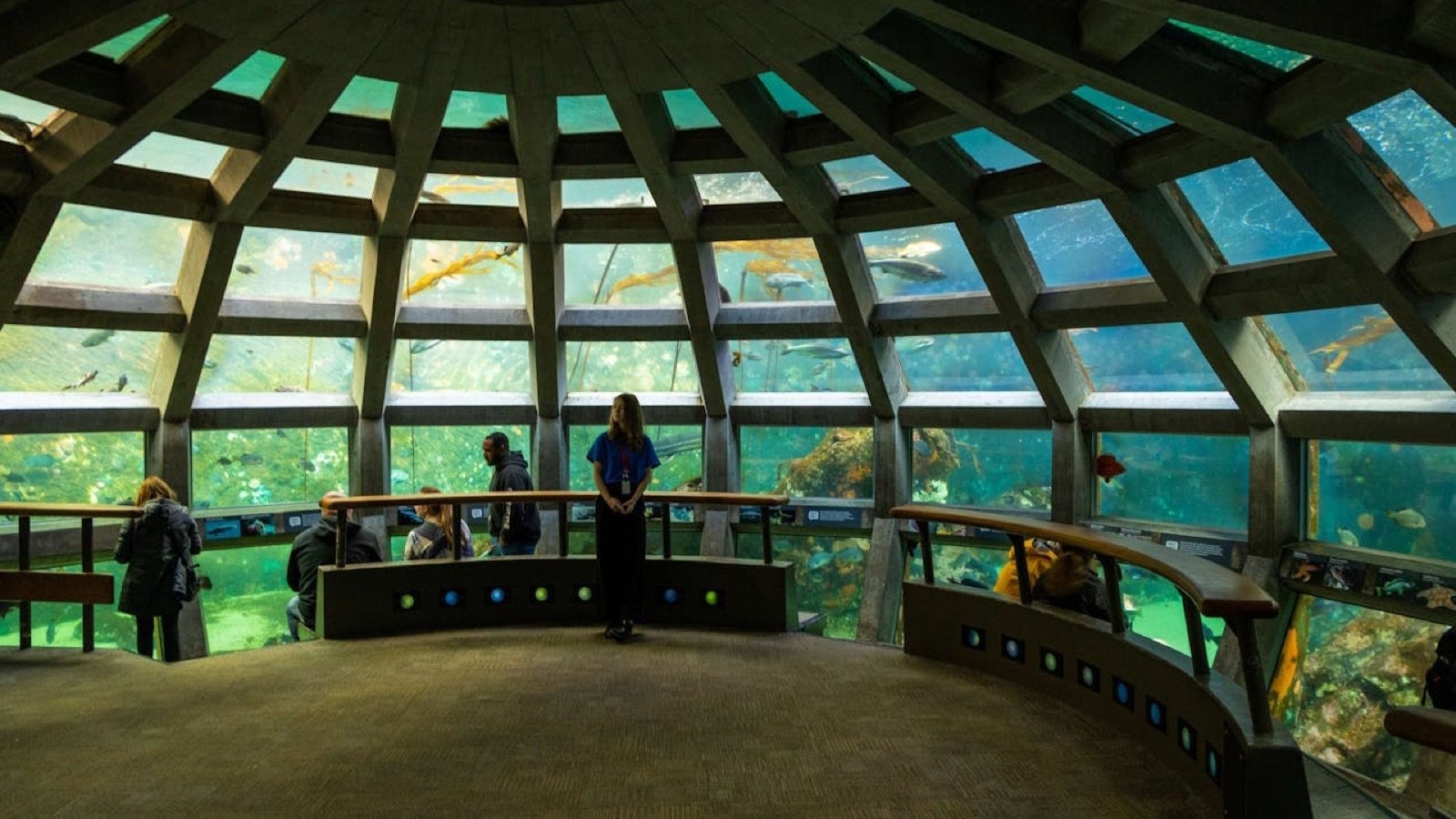 Sharks and rays swimming in the Ocean Pavilion habitat