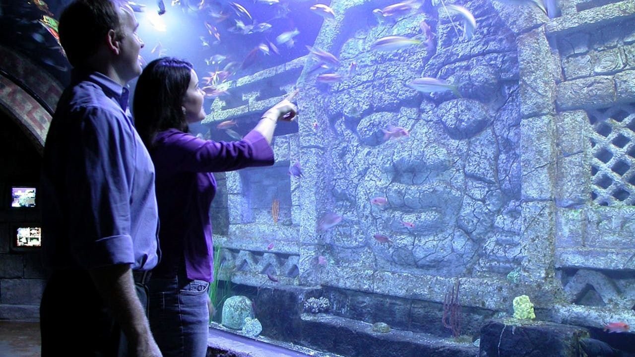 Rainforest exhibit at Downtown Aquarium Houston