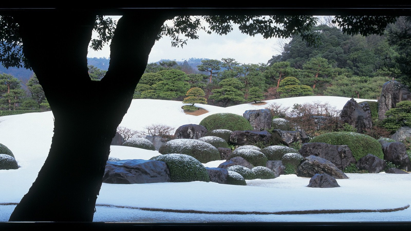 Seasonal garden view at Adachi Museum of Art