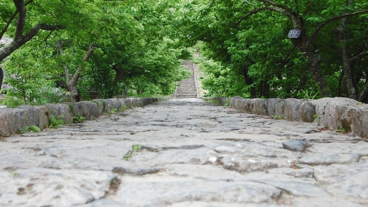 Ancient stone walls on the hilltop at Nakijin Castle Ruins