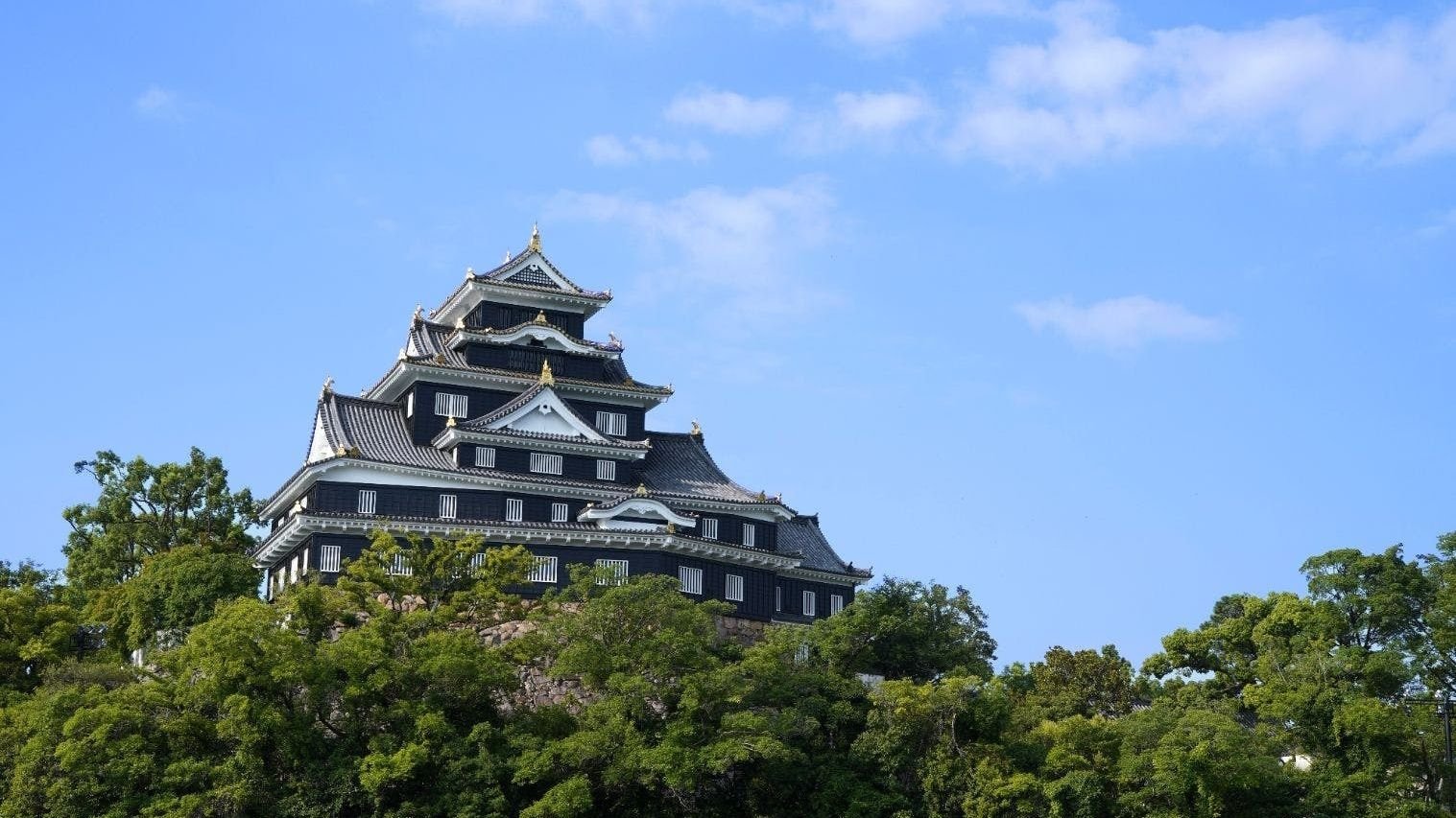 Black exterior of Okayama Castle tower