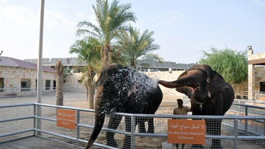 Abu Dhabi Emirates Park Zoo attraction