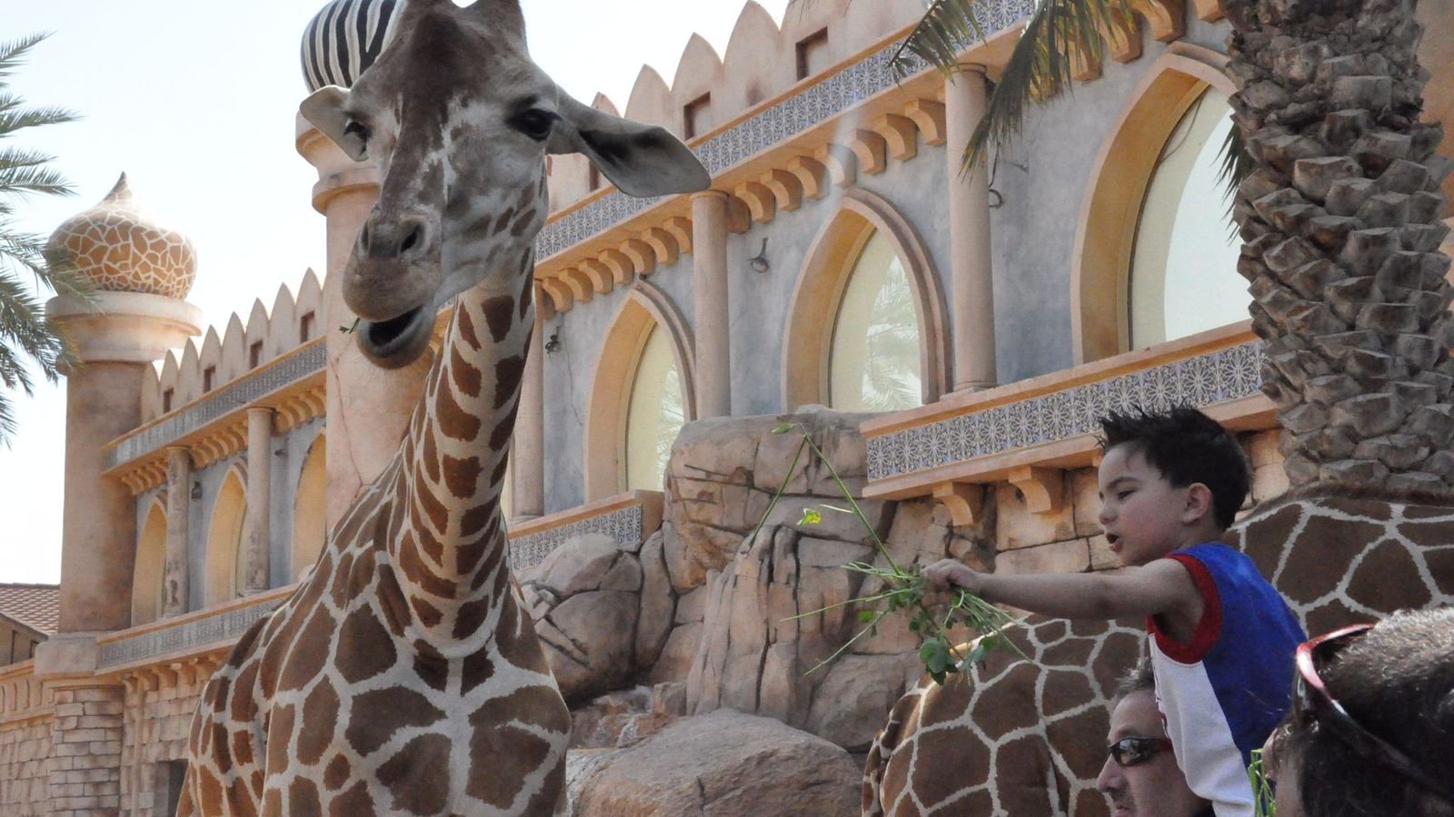 Bird show presentation at Emirates Park Zoo