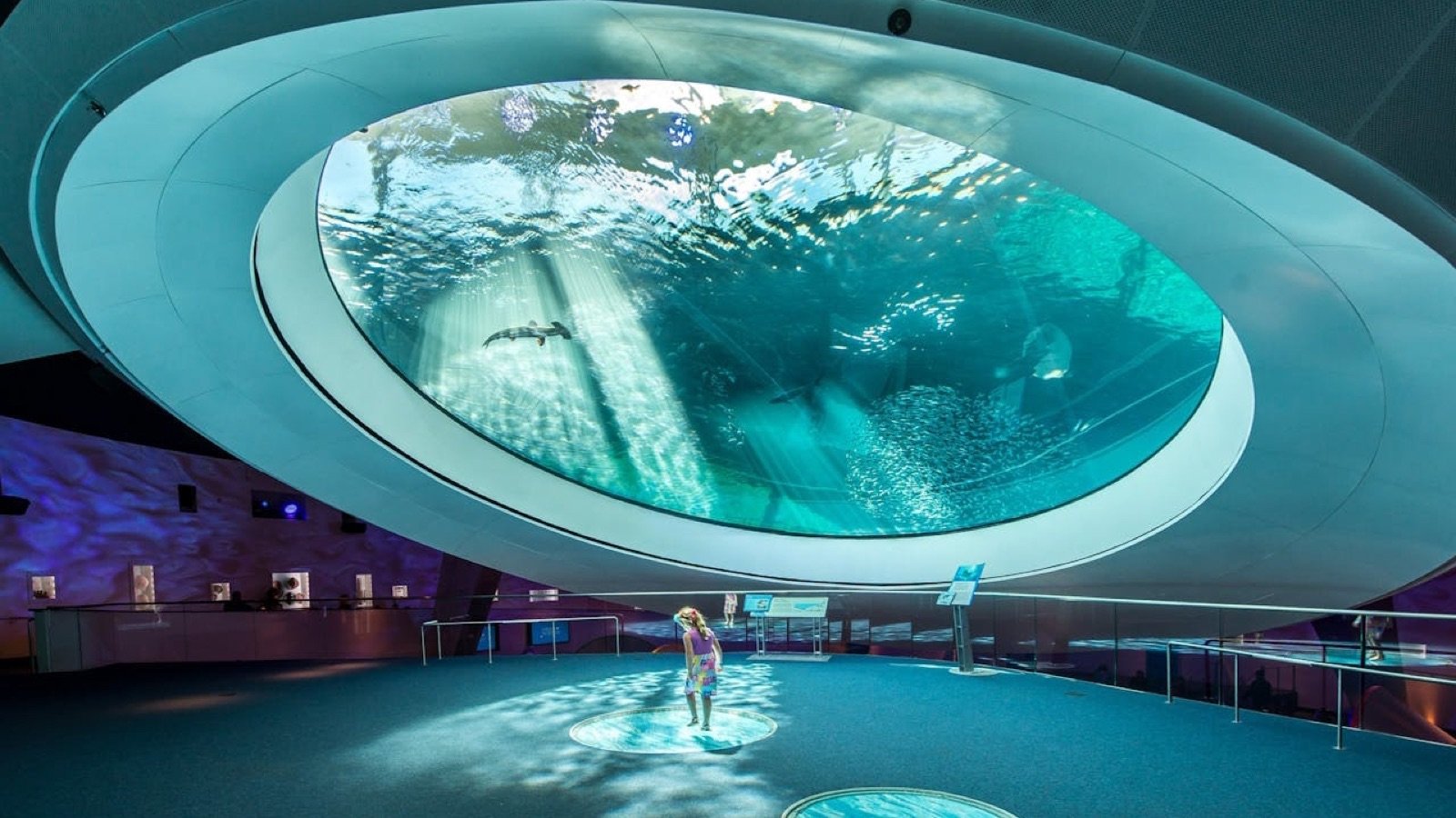 Phillip and Patricia Frost Museum of Science exterior in Miami