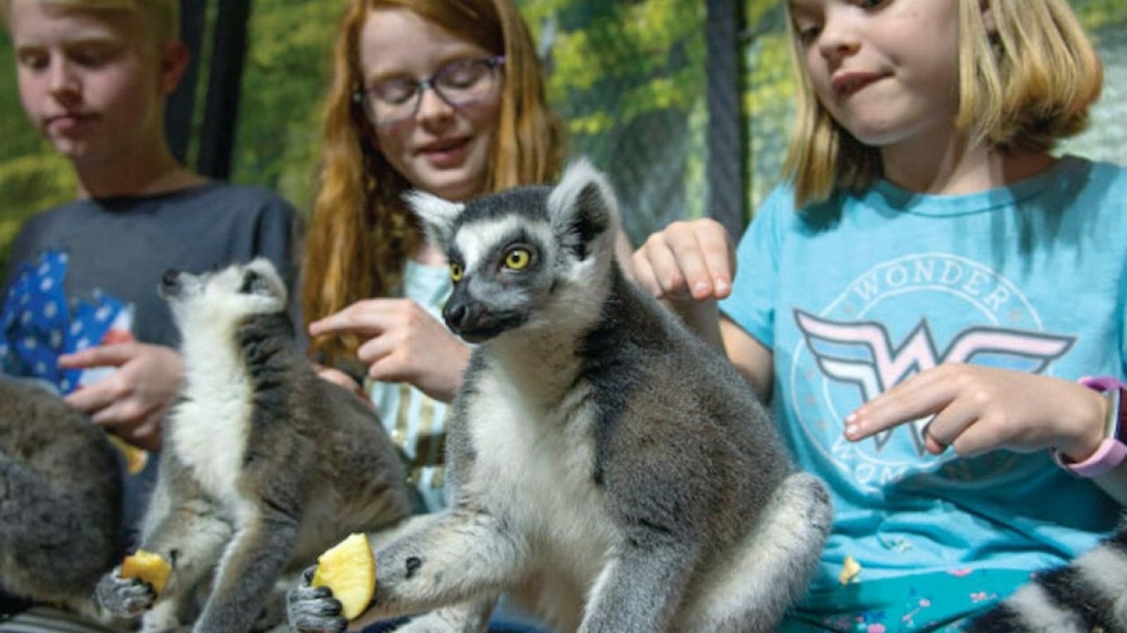 Interactive animal feeding experience at the preserve in Houston