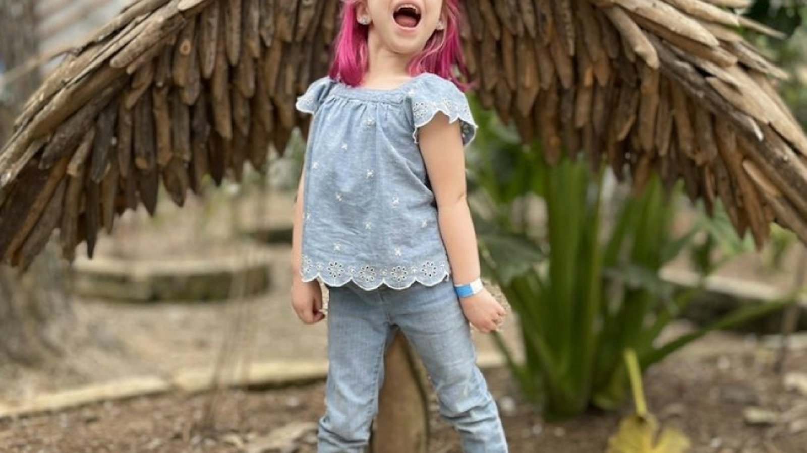 Bird exhibit area inside the animal preserve in Houston