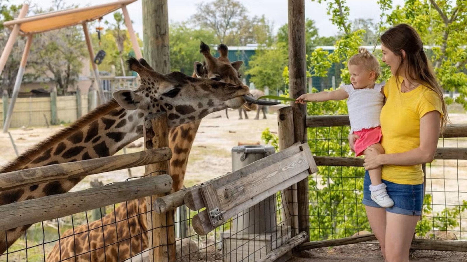 Naturalistic animal habitats at ZooTampa