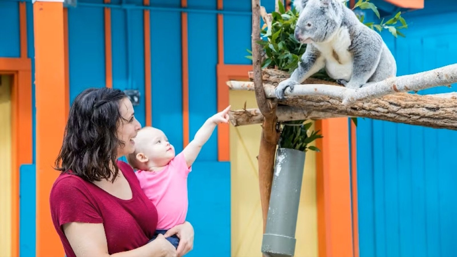 Manatee critical care centre at ZooTampa at Lowry Park