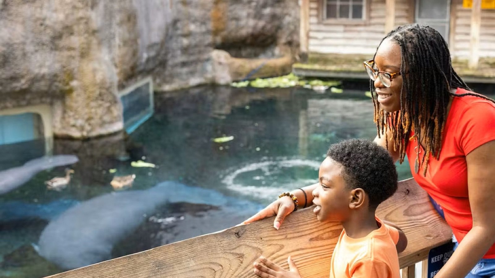 Interactive family areas at ZooTampa at Lowry Park