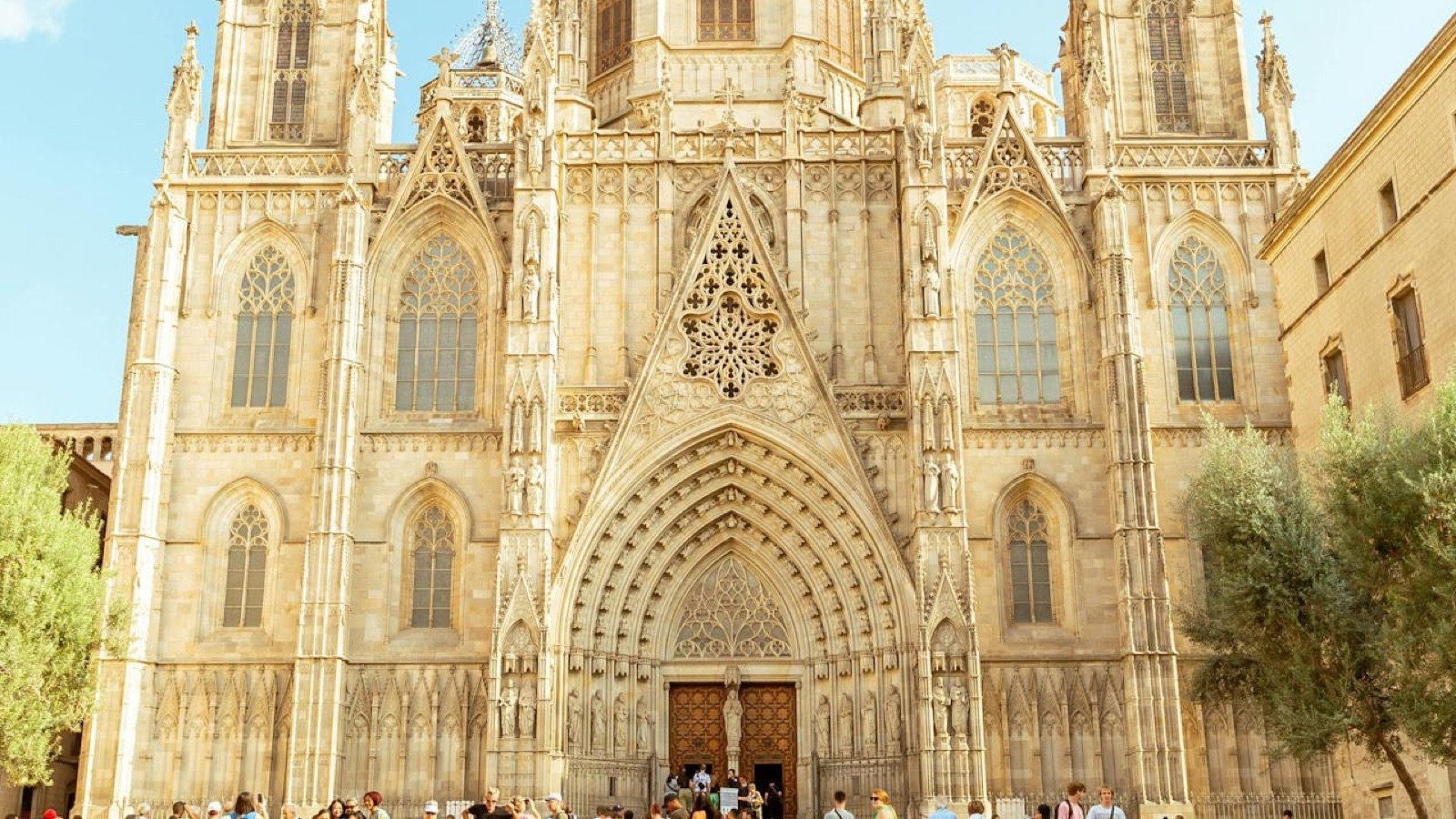 Barcelona Cathedral cloister garden and fountain