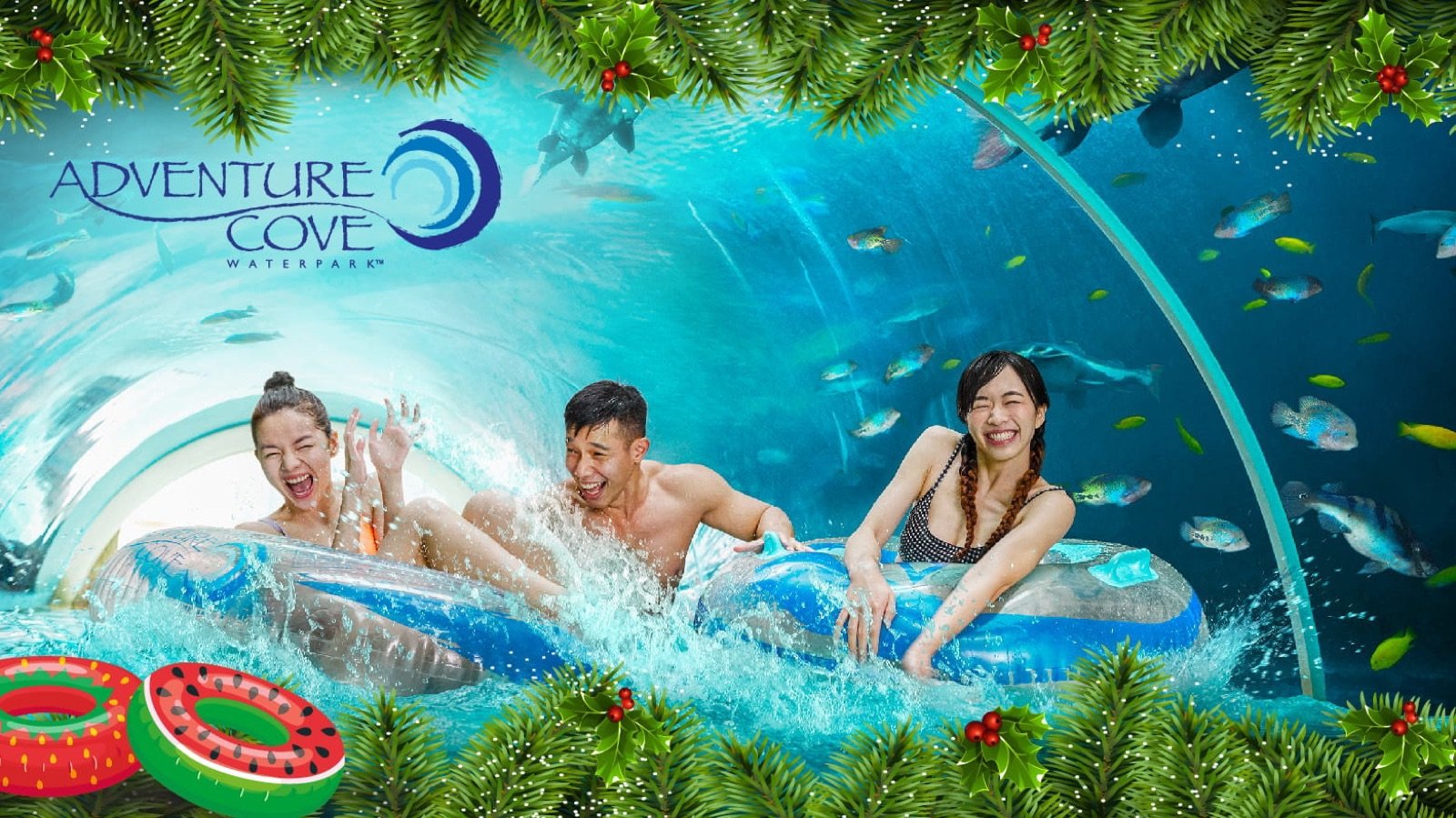 Visitors on water slides at Adventure Cove Waterpark