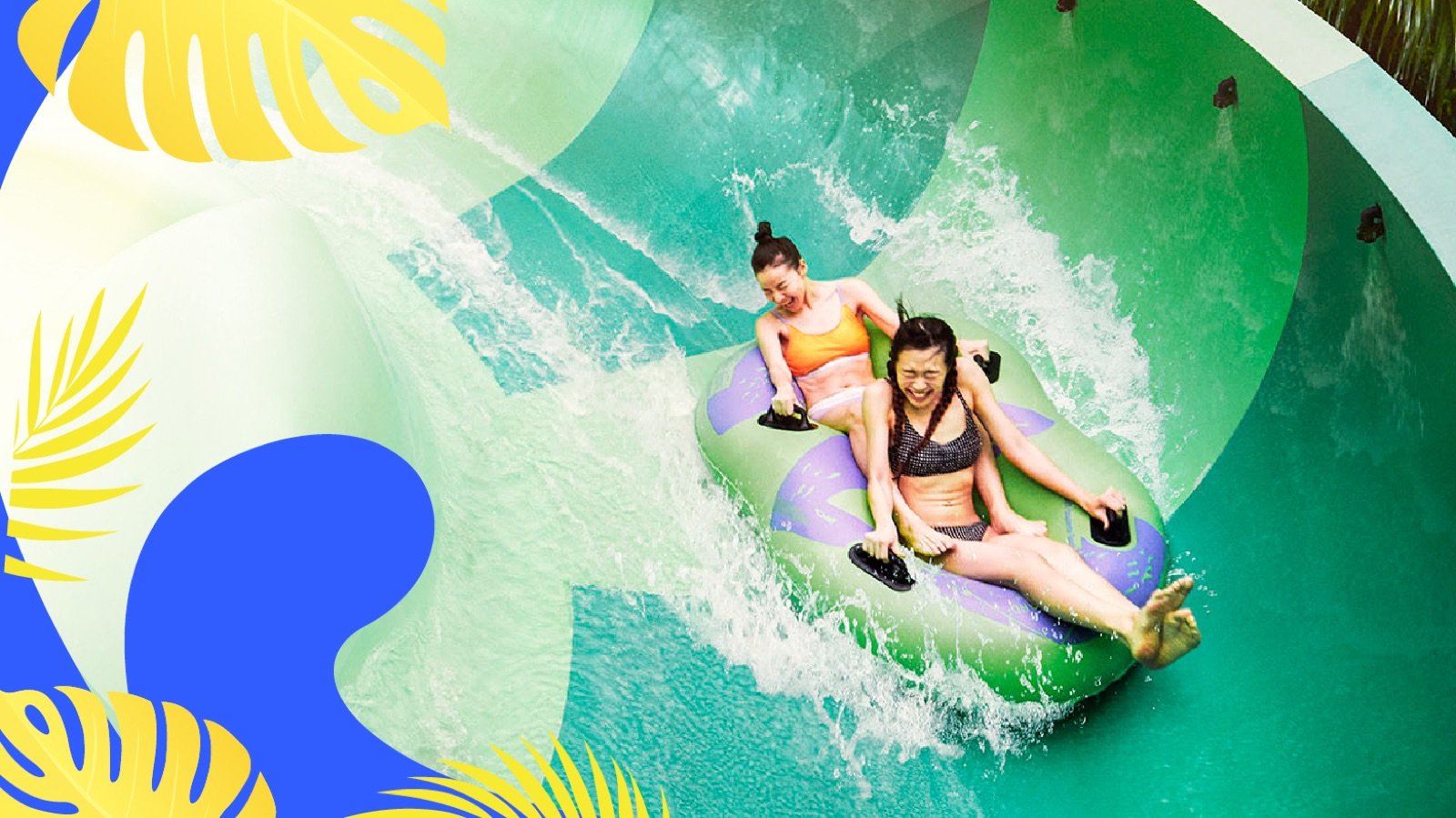 Snorkelling reef with tropical fish at Adventure Cove