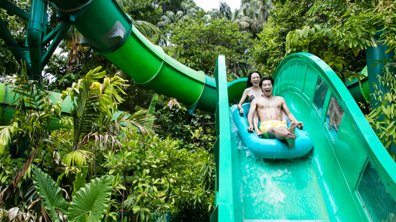Ray Bay encounter at Adventure Cove Waterpark