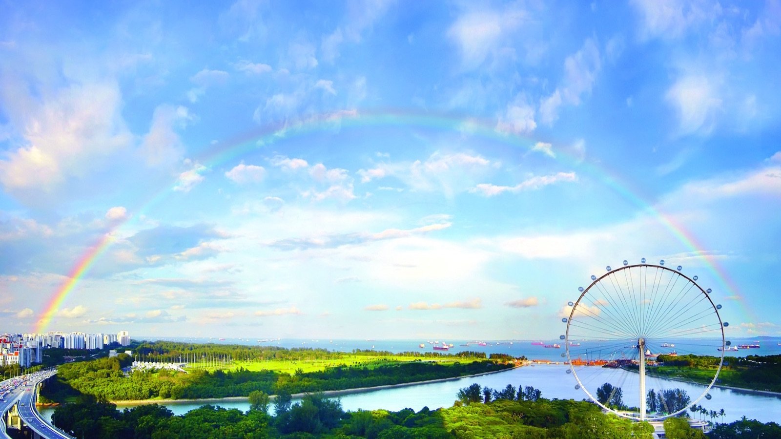 Singapore Flyer observation wheel